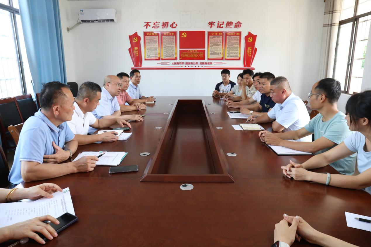 图为调研组在临高县东英镇和新村调研定点帮扶工作